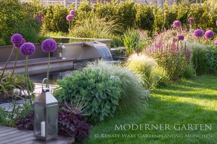 Moderner Garten Moderne Bepflanzung Und Wasserbecken