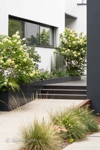 Gartengestaltung moderner, pflegeleichter Vorgarten, Gartenplanung Renate Waas, München, moderne Gartengestaltung und modernes Gartendesign