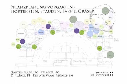 Pflanzplan Vorgarten