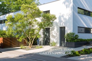 Vorgarten modern Waas Gartenplanung 