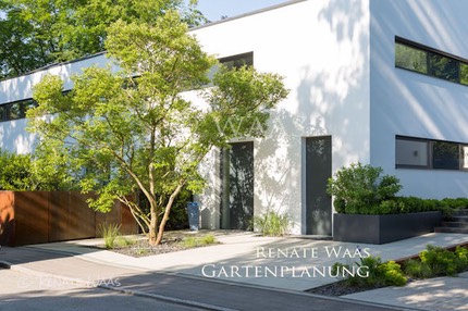 Vorgarten modern Waas Gartenplanung 